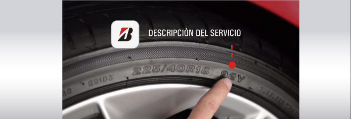 Descripción del Servicio